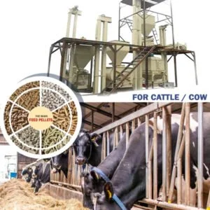 Cow Feeding Making Machine 3HP